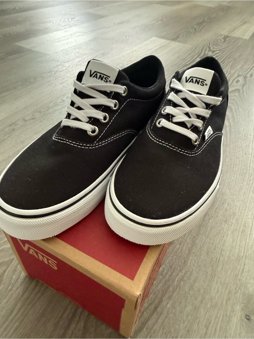 Vans Black Canvas Low-Top Sneakers with White Accents